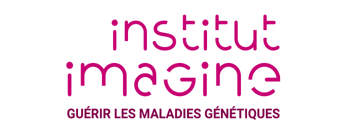 Logo Institut Imagine - TheRaCiL Partner