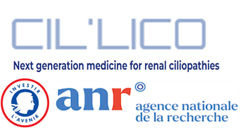 Cillico - TheRaCiL Partner